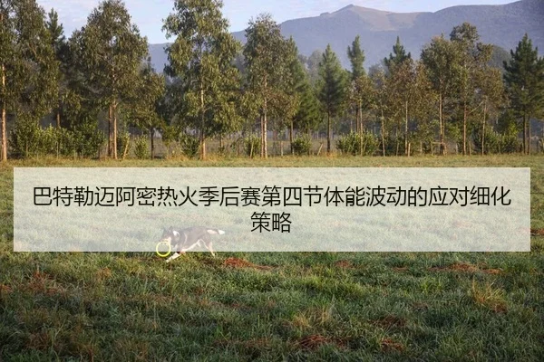 ba-te-lei-mai-a-mi-re-huo-ji-hou-sai-di-si-jie-ti-neng-bo-dong-de-ying-dui-xi-hua-ce-lve-2-923.jpg